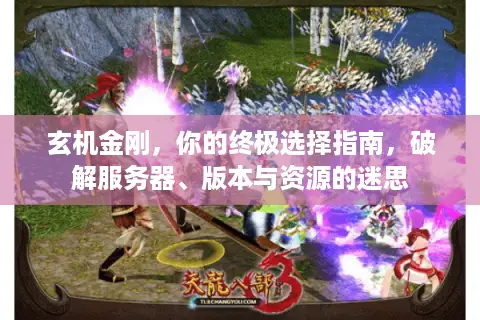 玄机金刚，你的终极选择指南，破解服务器、版本与资源的迷思