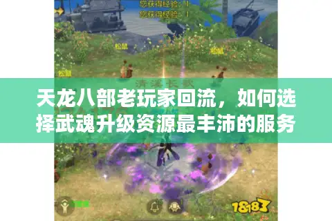 天龙八部老玩家回流，如何选择武魂升级资源最丰沛的服务器实现弯道超车？
