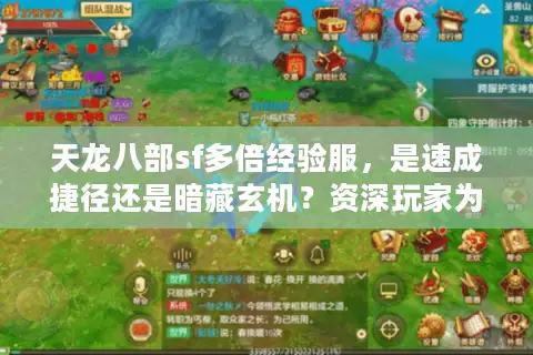 天龙八部sf多倍经验服，是速成捷径还是暗藏玄机？资深玩家为你揭秘门道