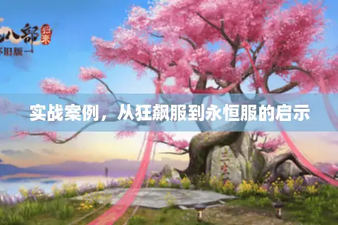 实战案例，从狂飙服到永恒服的启示