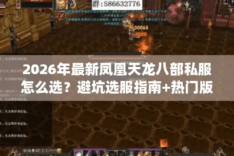 2026年最新凤凰天龙八部私服怎么选？避坑选服指南+热门版本整理