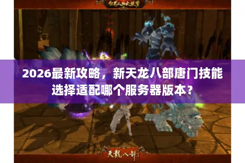 2026最新攻略，新天龙八部唐门技能选择适配哪个服务器版本？
