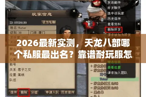 2026最新实测，天龙八部哪个私服最出名？靠谱耐玩服怎么选