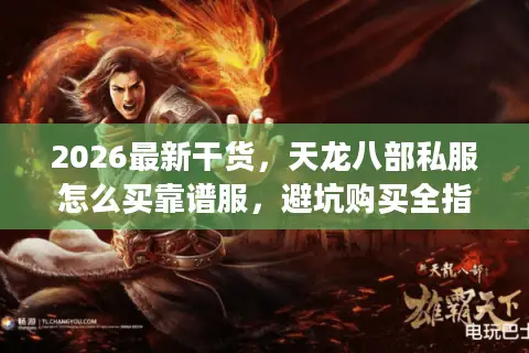 2026最新干货，天龙八部私服怎么买靠谱服，避坑购买全指南