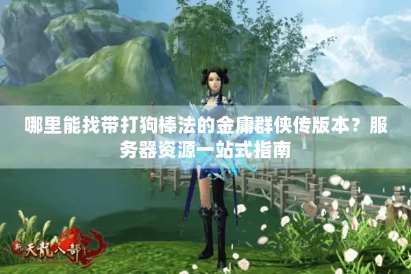 哪里能找带打狗棒法的金庸群侠传版本？服务器资源一站式指南