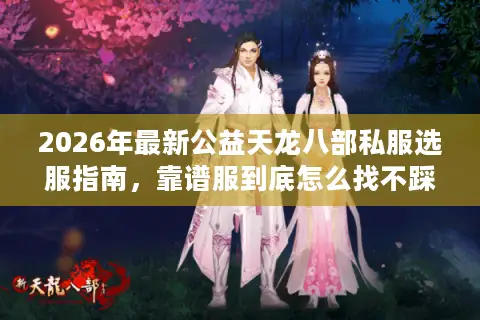 2026年最新公益天龙八部私服选服指南，靠谱服到底怎么找不踩坑？