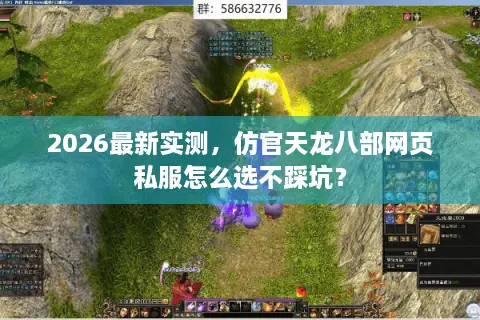 2026最新实测，仿官天龙八部网页私服怎么选不踩坑？