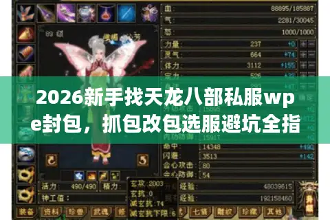 2026新手找天龙八部私服wpe封包，抓包改包选服避坑全指南