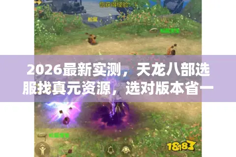 2026最新实测，天龙八部选服找真元资源，选对版本省一半肝度
