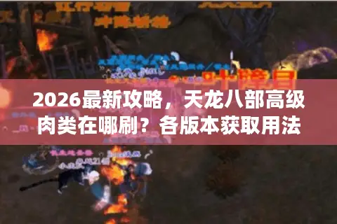 2026最新攻略，天龙八部高级肉类在哪刷？各版本获取用法全整理