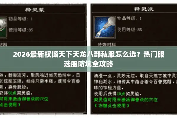 2026最新权倾天下天龙八部私服怎么选？热门服选服防坑全攻略