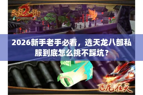 2026新手老手必看，选天龙八部私服到底怎么挑不踩坑？
