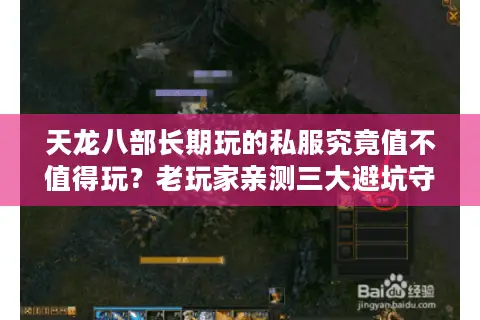 天龙八部长期玩的私服究竟值不值得玩?老玩家亲测三大避坑守则 天龙八部长期玩的私服究竟值不值得玩?老玩家亲测三大避坑守则