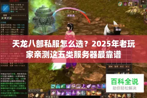 天龙八部私服怎么选？2025年老玩家亲测这五类服务器最靠谱