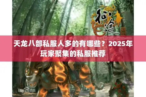天龙八部私服人多的有哪些？2025年玩家聚集的私服推荐