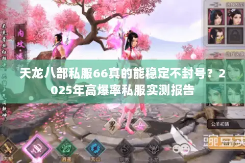 天龙八部私服66真的能稳定不封号？2025年高爆率私服实测报告
