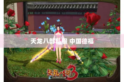 天龙八部私服 中国德福 天龙八部私服 中国德福
