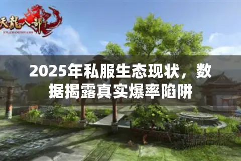 2025年私服生态现状,数据揭露真实爆率陷阱 2025年私服生态现状,数据揭露真实爆率陷阱