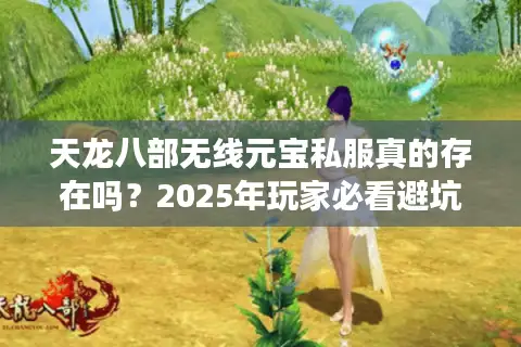 天龙八部无线元宝私服真的存在吗？2025年玩家必看避坑指南