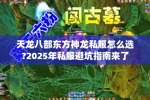 天龙八部东方神龙私服怎么选?2025年私服避坑指南来了 天龙八部东方神龙私服怎么选?2025年私服避坑指南来了