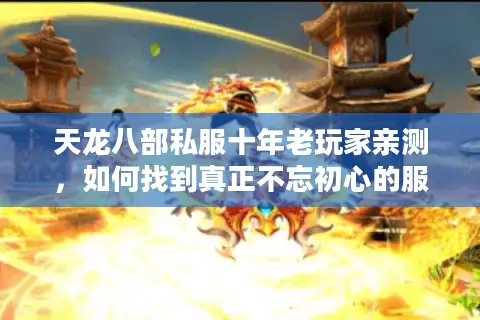 天龙八部私服十年老玩家亲测，如何找到真正不忘初心的服务器？