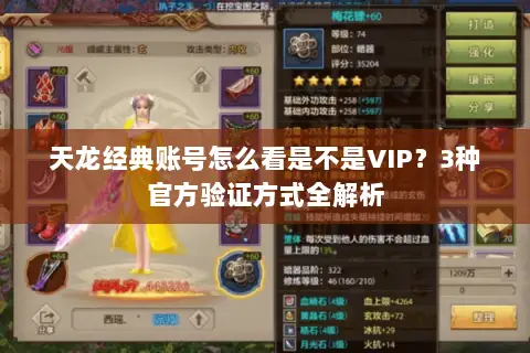 天龙经典账号怎么看是不是VIP？3种官方验证方式全解析