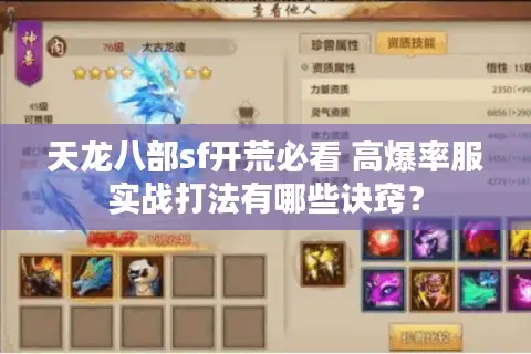 天龙八部sf开荒必看 高爆率服实战打法有哪些诀窍？
