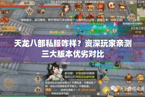 天龙八部私服咋样?资深玩家亲测三大版本优劣对比 天龙八部私服咋样?资深玩家亲测三大版本优劣对比