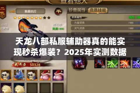 天龙八部私服辅助器真的能实现秒杀爆装？2025年实测数据揭秘