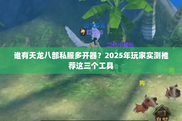 谁有天龙八部私服多开器？2025年玩家实测推荐这三个工具