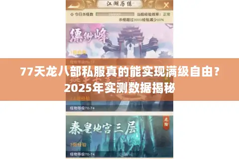 77天龙八部私服真的能实现满级自由？2025年实测数据揭秘
