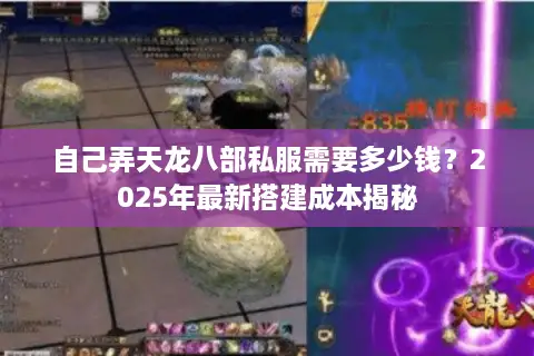 自己弄天龙八部私服需要多少钱?2025年最新搭建成本揭秘 自己弄天龙八部私服需要多少钱?2025年最新搭建成本揭秘