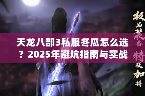 天龙八部3私服冬瓜怎么选？2025年避坑指南与实战经验分享