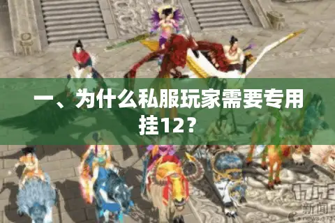 一、为什么私服玩家需要专用挂12？
