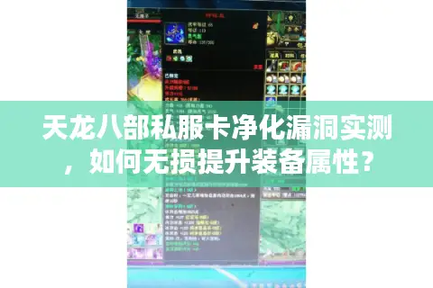 天龙八部私服卡净化漏洞实测，如何无损提升装备属性？