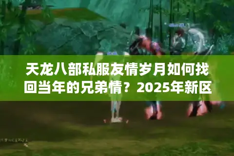 天龙八部私服友情岁月如何找回当年的兄弟情?2025年新区避坑指南 天龙八部私服友情岁月如何找回当年的兄弟情?2025年新区避坑指南