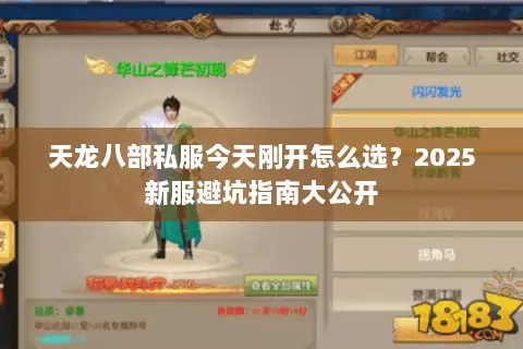 天龙八部私服今天刚开怎么选?2025新服避坑指南大公开 天龙八部私服今天刚开怎么选?2025新服避坑指南大公开