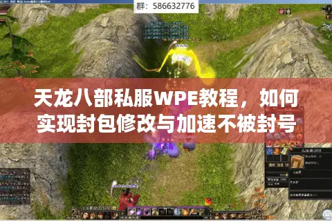 天龙八部私服WPE教程，如何实现封包修改与加速不被封号？