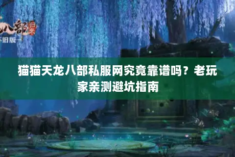 猫猫天龙八部私服网究竟靠谱吗？老玩家亲测避坑指南