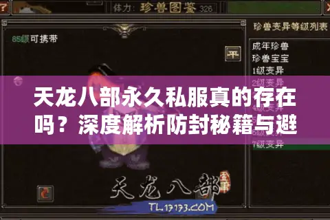 天龙八部永久私服真的存在吗?深度解析防封秘籍与避坑指南 天龙八部永久私服真的存在吗?深度解析防封秘籍与避坑指南