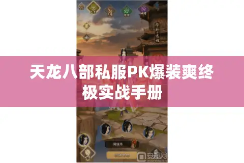 天龙八部私服PK爆装爽终极实战手册 天龙八部私服PK爆装爽终极实战手册