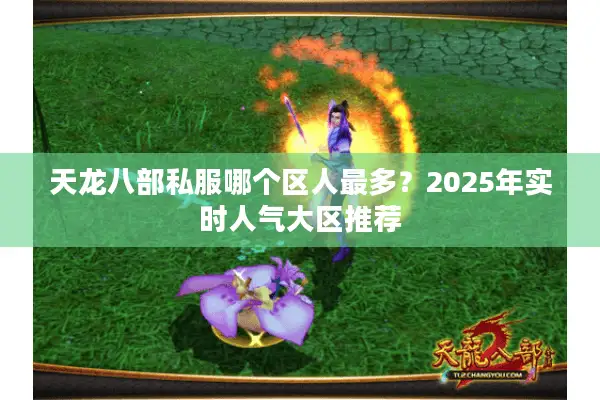 天龙八部私服哪个区人最多？2025年实时人气大区推荐