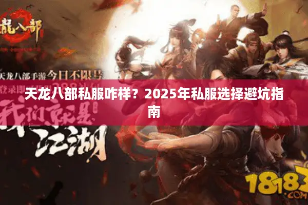 天龙八部私服咋样？2025年私服选择避坑指南