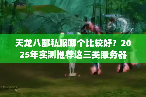 天龙八部私服哪个比较好？2025年实测推荐这三类服务器