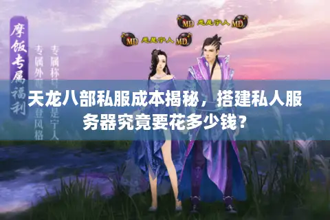 天龙八部私服成本揭秘，搭建私人服务器究竟要花多少钱？
