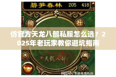 仿官方天龙八部私服怎么选？2025年老玩家教你避坑指南