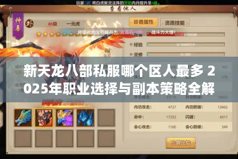 新天龙八部私服哪个区人最多 2025年职业选择与副本策略全解析 新天龙八部私服哪个区人最多 2025年职业选择与副本策略全解析
