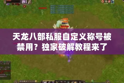 天龙八部私服自定义称号被禁用?独家破解教程来了 天龙八部私服自定义称号被禁用?独家破解教程来了