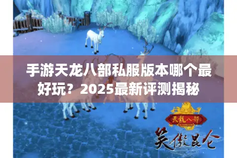 手游天龙八部私服版本哪个最好玩？2025最新评测揭秘