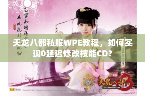 天龙八部私服WPE教程，如何实现0延迟修改技能CD？